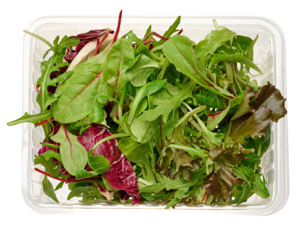 istock Mix of fresh lettuce leaves in plastic packaging. 1873163513