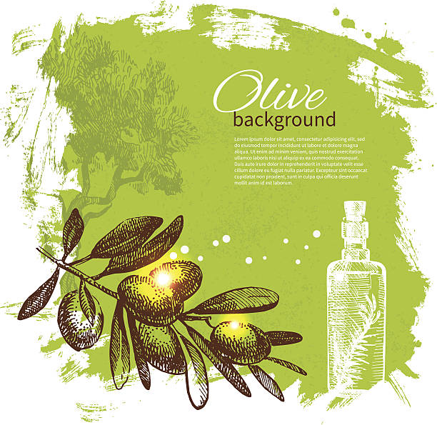 ilustrações, clipart, desenhos animados e ícones de vintage fundo de oliva - tempera painting paint art bottle