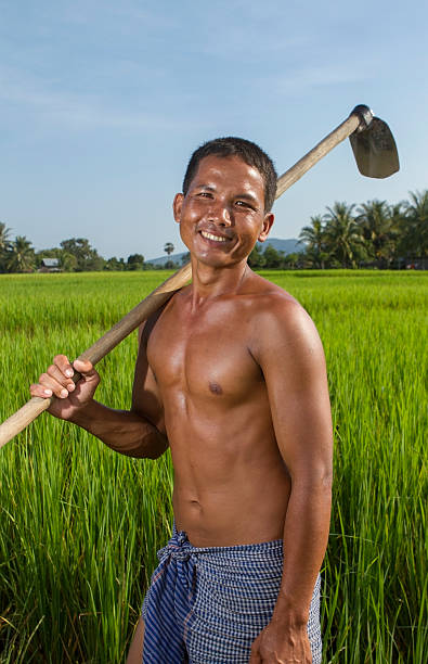 asiático agricultor com um enxadão - developing countries farmer rice paddy asia imagens e fotografias de stock