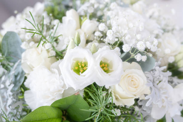 istock White wedding bouquet background 1873183958