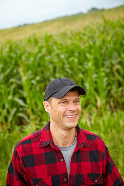 istock This season's crop looks great! 187319696