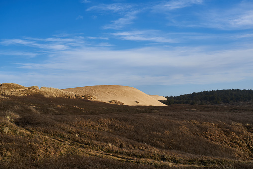 Tranquil view of landscape with sand dune hills and meadow against blue sky during sunny day at Lønstrup, Denmark
