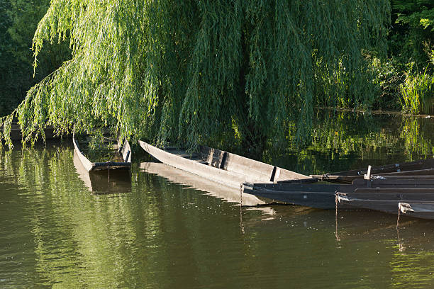 istock Boats at the shore 187319725