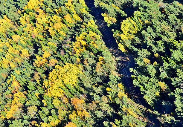 istock Aerial view from a plane, power line 187320054