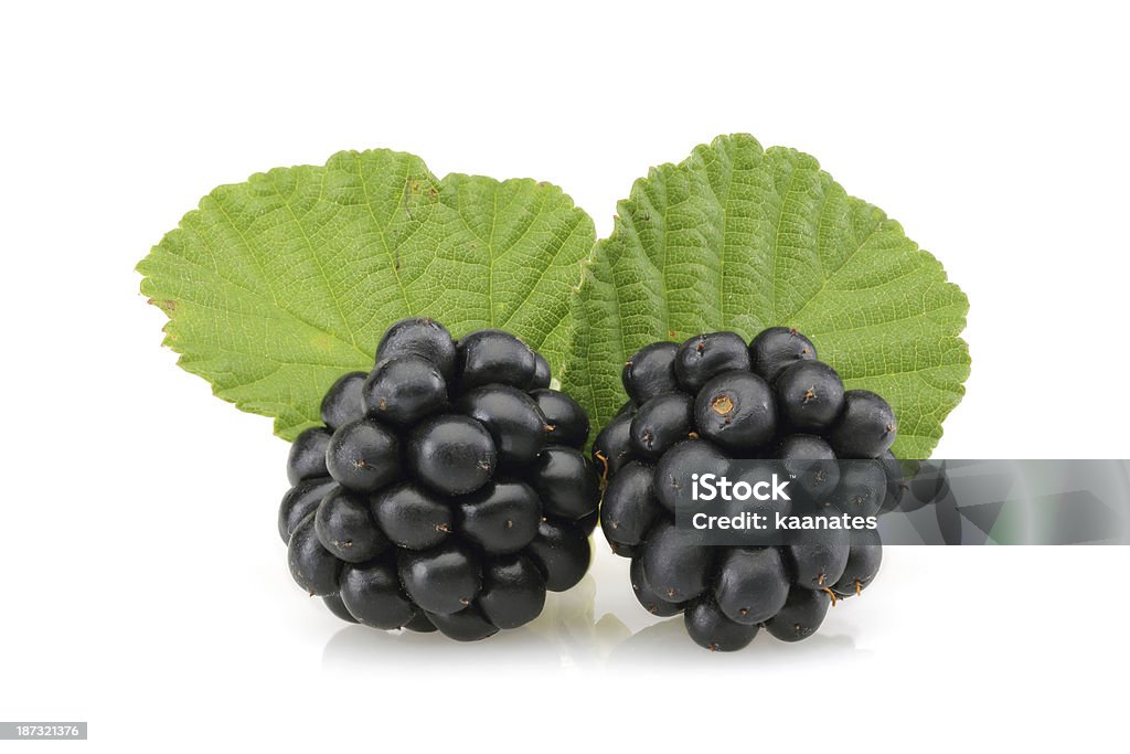 Zwei Brombeeren - Lizenzfrei Beere - Obst Stock-Foto