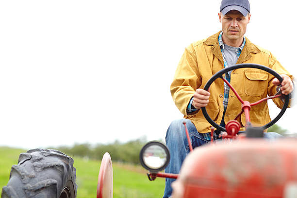 istock Taking care of the plantation 187321434