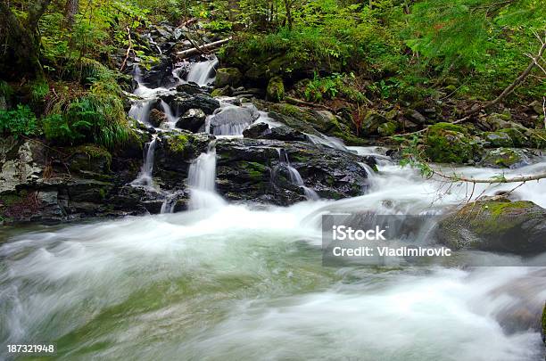 Cascada Piedras Flujo Foto de stock y más banco de imágenes de Agua - Agua, Aire libre, Arbusto