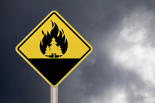 Forbidden sign with a Burning Forest drawn in the middle.