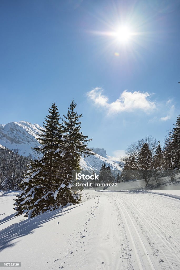 Paisaje de invierno con nieve y árboles - Foto de stock de Abeto Picea libre de derechos