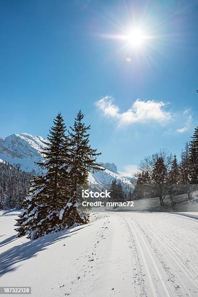 Photo libre de droit de Paysage Dhiver Avec La Neige Et Arbres banque d'images et plus d'images libres de droit de Alpes européennes - Alpes européennes, Arbre, Arbre à feuilles persistantes