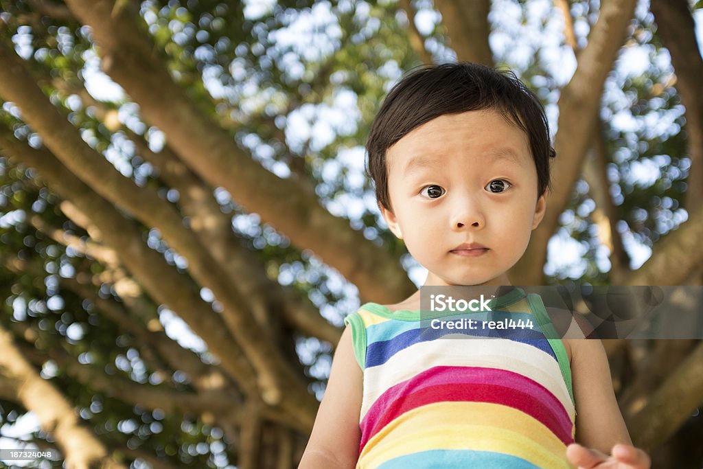 Engraçado crianças brincando no parque - Royalty-free 2-3 Anos Foto de stock