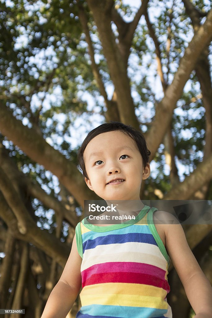 Cute children playing in the park Cute children playing in the park  2-3 Years Stock Photo