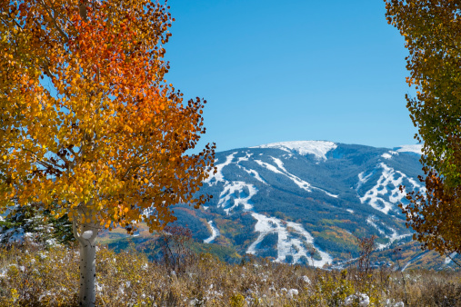 Early snow and peak fall colors scenic vista showing ski resort with cut runs on slopes.  Valley and peaks included.  Captured as a 14-bit Raw file. Edited in 16-bit ProPhoto RGB color space.