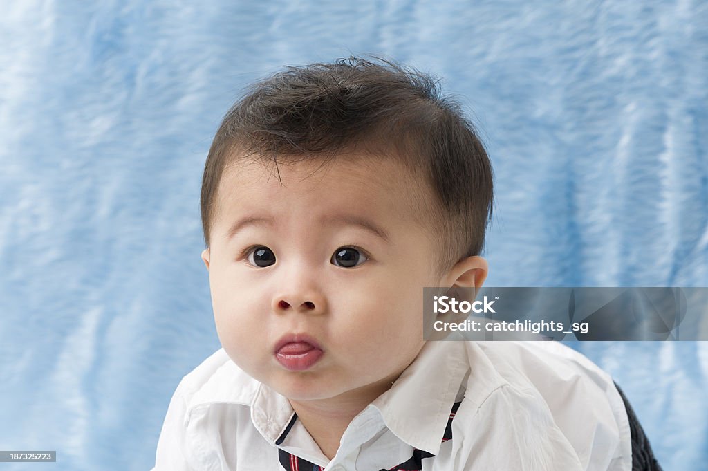 Chinês bebê menino bonito da Ásia - Foto de stock de 6-11 meses royalty-free