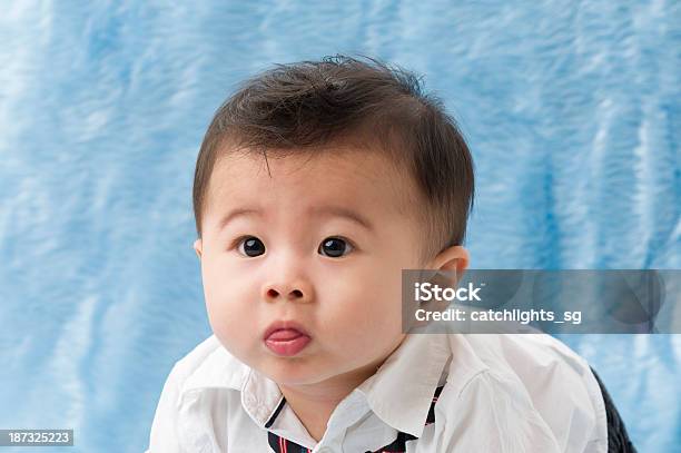 Foto de Chinês Bebê Menino Bonito Da Ásia e mais fotos de stock de 6-11 meses - 6-11 meses, Alegria, Asiático e indiano