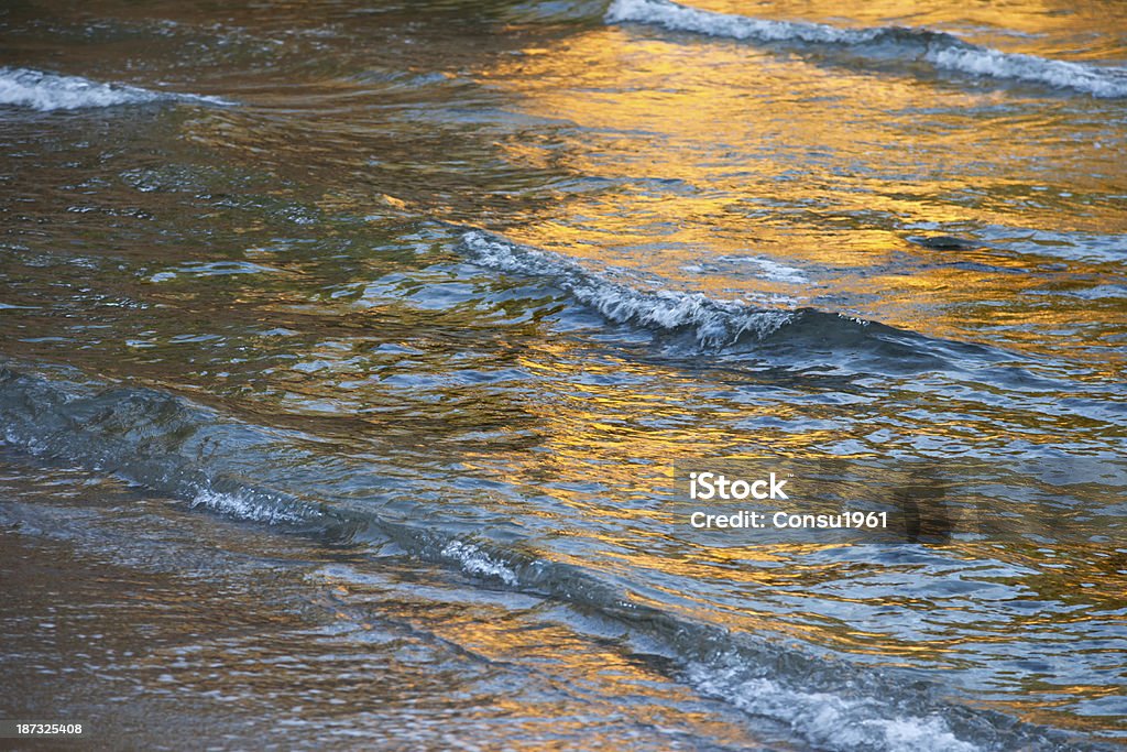 Golden sunset - Foto de stock de Agua libre de derechos