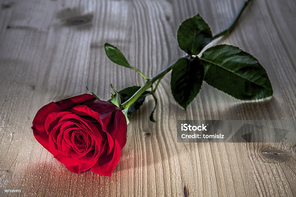 Red rose on wooden background Beautiful red rose on wooden background Close-up Stock Photo