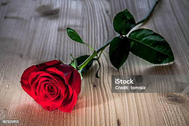 Red Rose On Wooden Background Stock Photo - Download Image Now - Close-up, Decoration, Flower