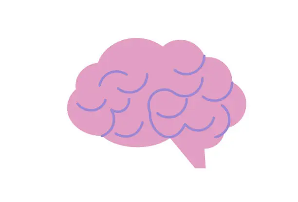 Vector illustration of Brain