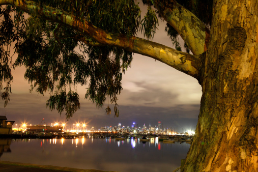 Melbourne, Victoria - Australia - viewed from Williamstown framed by Gum Tree