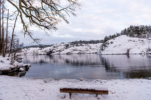 Winter landscape. Snowy trees, reflection in cold lake.