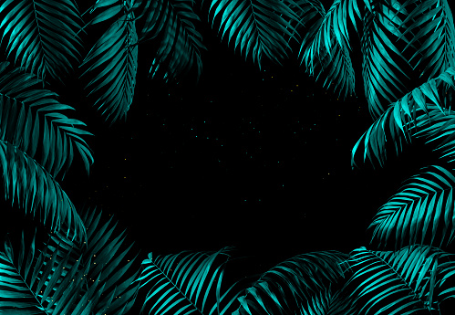Turquoise palm leaves frame over black background.