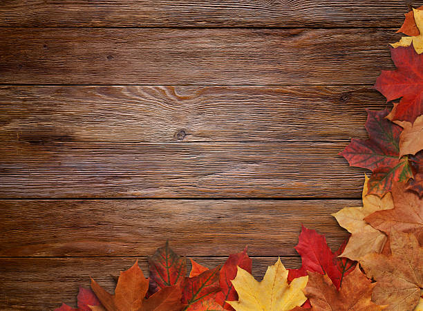 istock Autumn Leaves on Wood 187328771