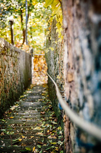 istock Stairway leading to an abandoned path 187328836