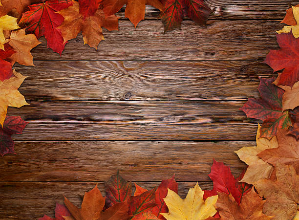 istock Autumn Leaves on Wood 187329170