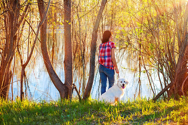 istock young woman with a dog 187329178