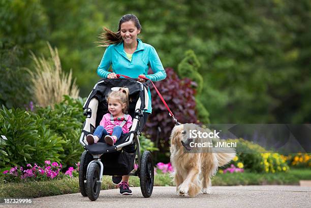 Golden Retriever Und Jogger Stockfoto und mehr Bilder von Joggen - Joggen, Sportkinderwagen, Hund