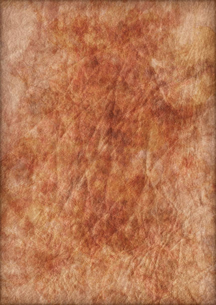 istock High Resolution Animal Skin Parchment Crumpled Mottled Vignette Grunge Texture 187330006