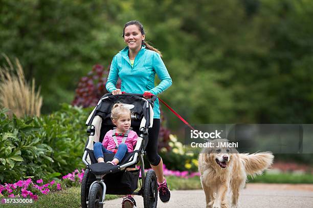 Labrador Dorado Y Impulsor Foto de stock y más banco de imágenes de Aerobismo - Aerobismo, Cochecito para niños, Perro