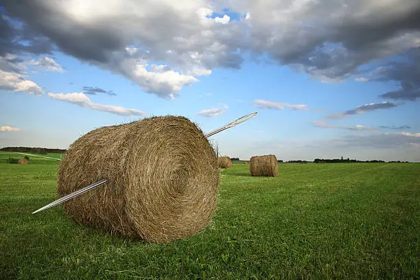 This is a conceptual photo created with two images relating to the saying "looking for a needle in the Haystack".