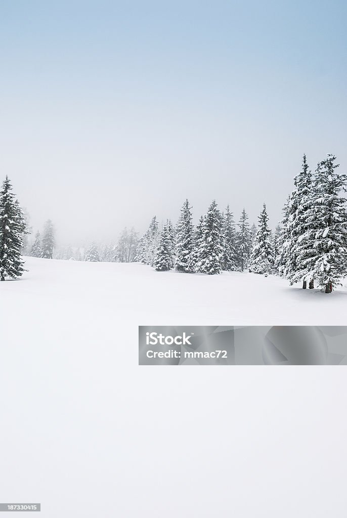 Winterlandschaft mit Schnee UND Bäume - Lizenzfrei Alpen Stock-Foto