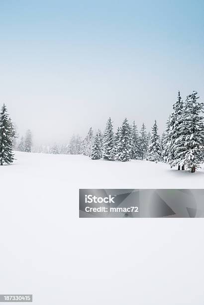 Winterlandschaft Mit Schnee Und Bäume Stockfoto und mehr Bilder von Alpen - Alpen, Anhöhe, Arktis
