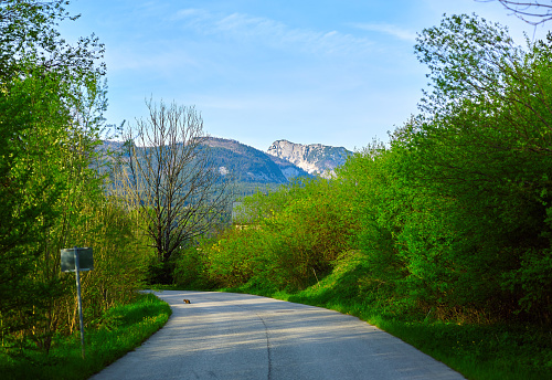 Asphalt road with mountains in the background and green trees on the roadside.