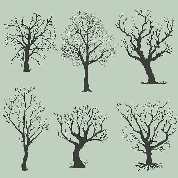 Vector illustration of vector set of silhouettes bare trees