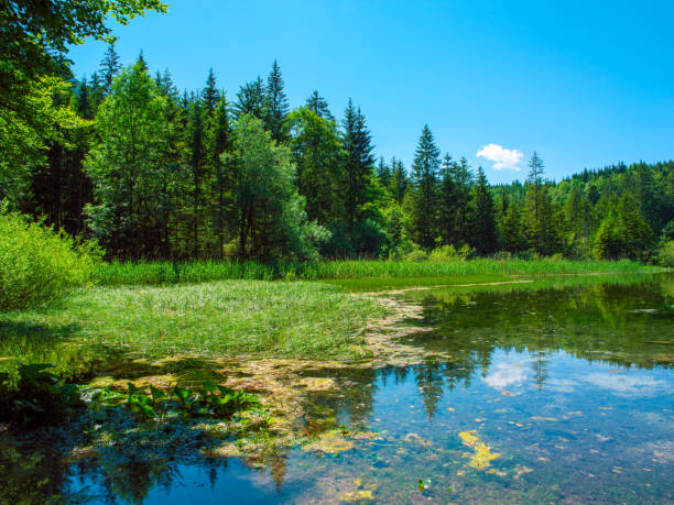 istock Lake Taferlklaussee in the austrian Alps 1873315839