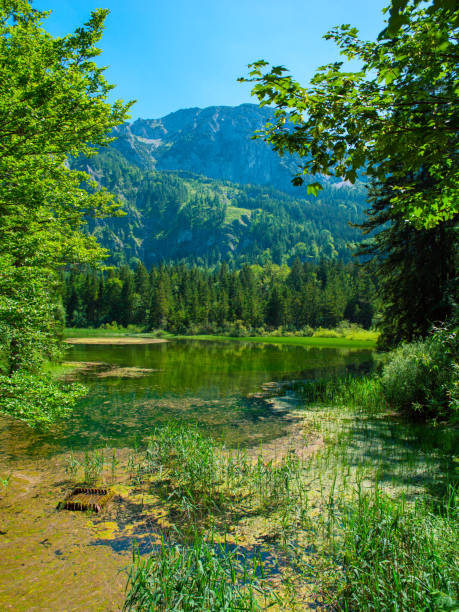 istock Lake Taferlklaussee in the austrian Alps 1873316361