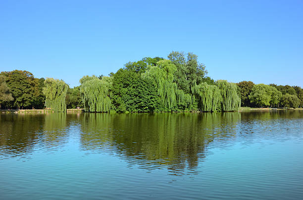 istock Panoramic green island with trees Krakow 187332847