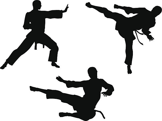 Karate Martial Art Silhouettes Karate martial art silhouettes of men in various karate or other martial art poses, including high kick and flying kick karate illustrations stock illustrations