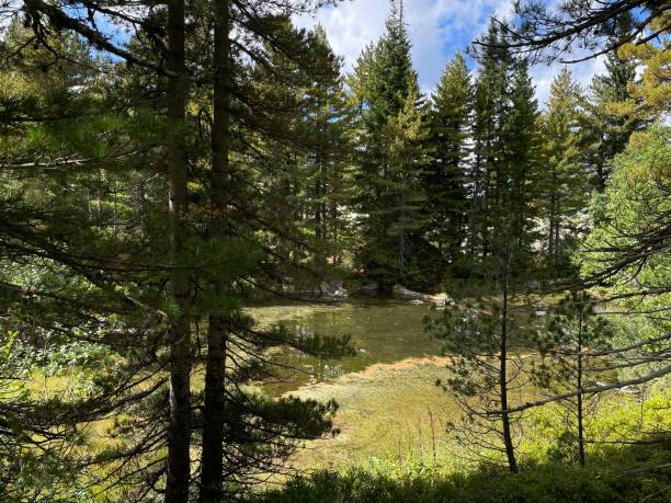 istock The Prokletije National park in Montenegro 1873338563