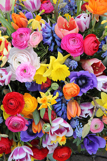 istock Spring flowers in bright colors 187334771