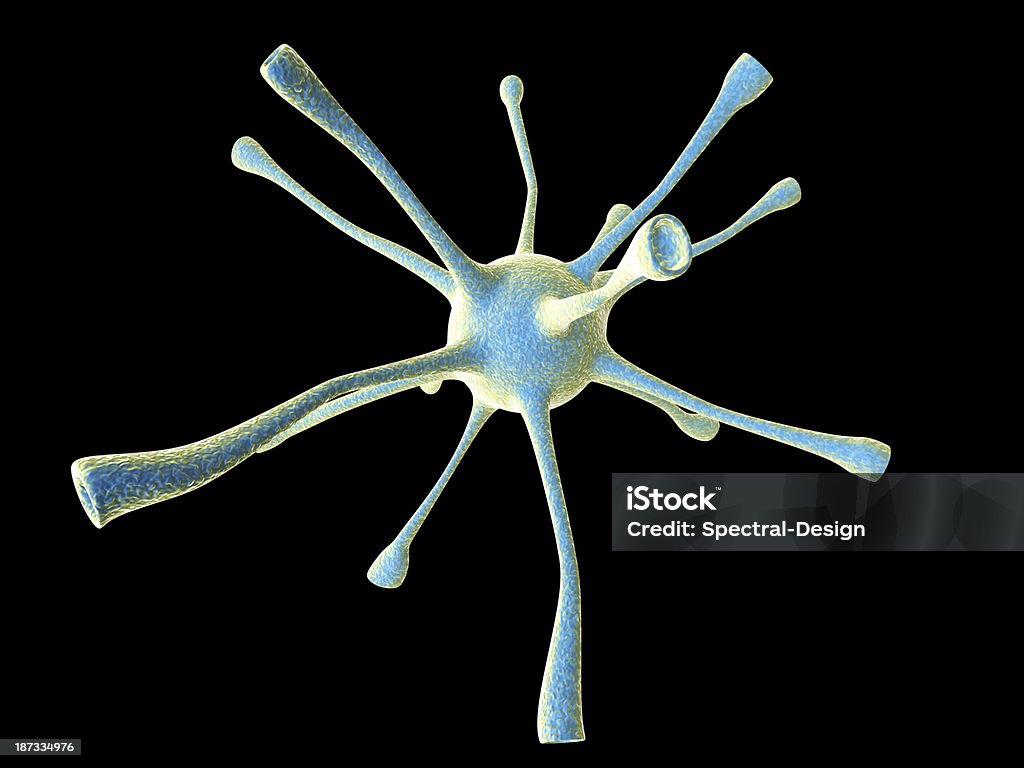 Neuronal Zelle - Lizenzfrei Anatomie Stock-Foto