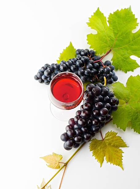 glass of wine