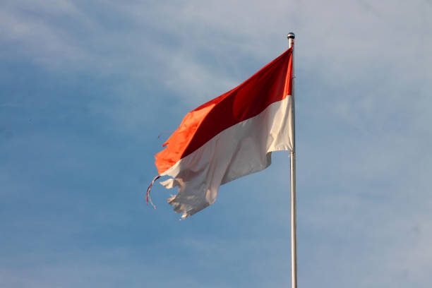 istock Old Indonesian flag on the wind 1873363904