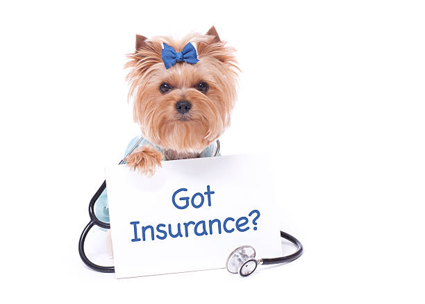 best pet insurance in ohio