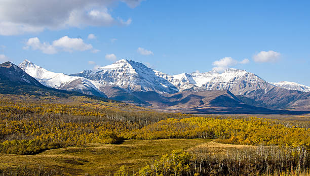 alberta prairie en el otoño - precordillera fotografías e imágenes de stock