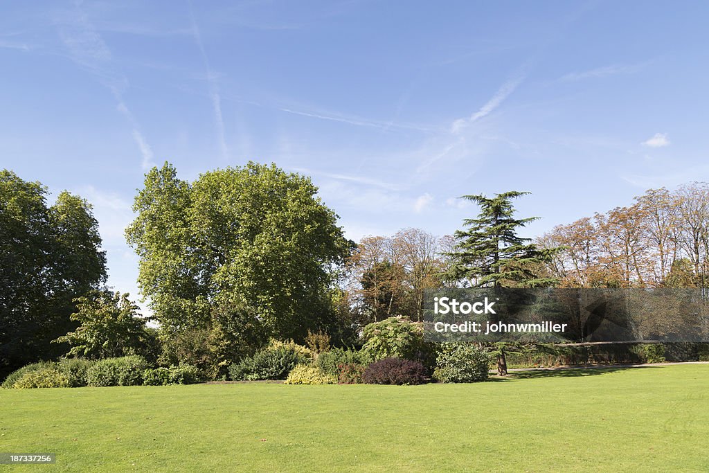 Jardim inglês país - Foto de stock de Arbusto royalty-free